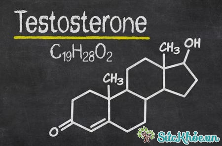 Testosteron là thuốc nội tiết dùng trong chữa vô sinh nam