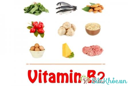 Bổ sung vitamin B2 giúp khôi phục chức năng thị giác