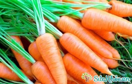Cà rốt là loại củ chứa nhiều vitamin A và kẽm