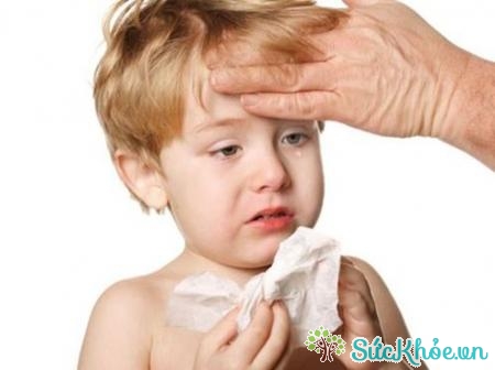 Cảm cúm là bệnh nhiễm trùng đường hô hấp