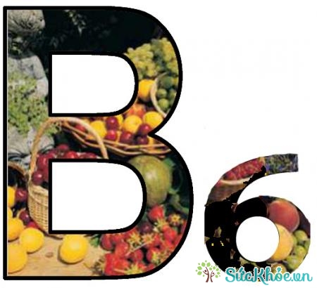Vitamin B6 điều trị mất máu