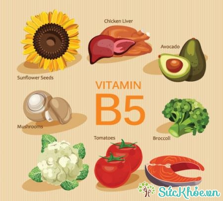 Những thực phẩm giàu vitamin B5
