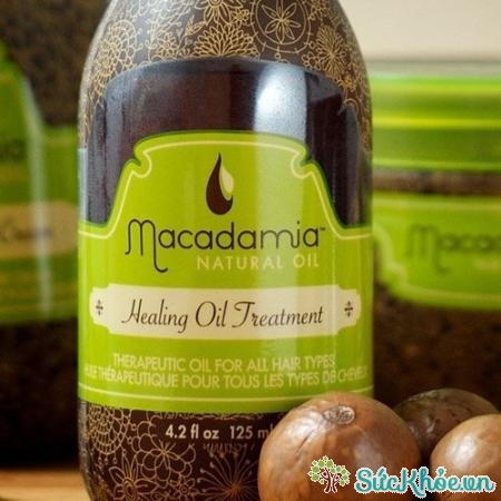 Dầu Macadamia được coi là sản phẩm phục hồi toàn diện cho mái tóc