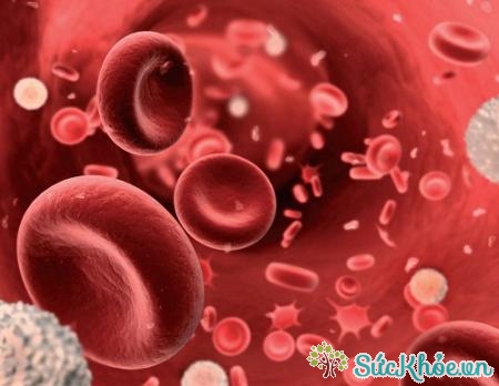 Giảm tiểu cầu thường diễn ra ở người bị bệnh sốt xuất huyết 