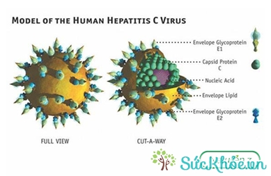 Bệnh viêm gan siêu vi c là gì