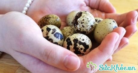Trứng chim cút còn giúp tăng cường chức năng não