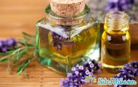 Nếu gặp chứng mất ngủ thì tinh dầu lavender sẽ giúp bạn