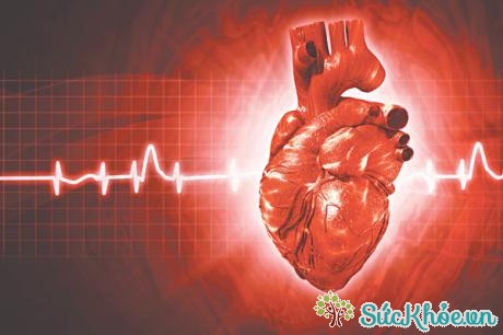 Rối loạn nhịp tim - nguyên nhân, triệu chứng và các thuốc điiều trịim
