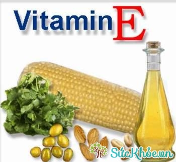 Uống vitamin E mỗi ngày ít bị cảm lạnh