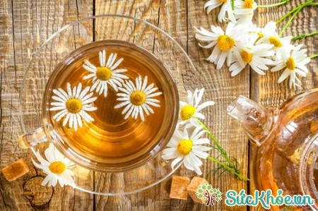 Nước uống được chế biến từ trà thảo mộc đang là xu hướng lựa chọn thay thế dần nươc ngọt có ga