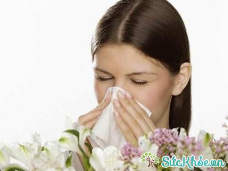 Cảm và các bệnh về mũi đều là nguyên nhân gây chảy nước mũi