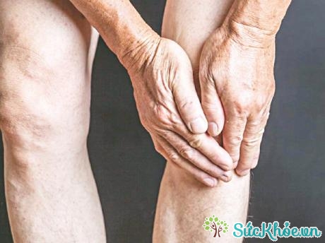 Với người cao tuổi đau khớp gối ngoài chấn thương, viêm khớp mạn tính, hiện tượng thoái hóa khớp gối do lão hóa là lý do chính gây đau khớp gối