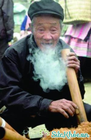 Người già không nên hút thốc lào phòng bệnh viêm phế quản