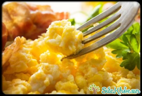 Trứng là một nguồn thực phẩm dồi dào protein