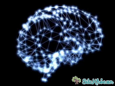 Amyloid tụ lại ở trong não là đặc điểm chính của bệnh lý Alzheimer. Sự tích tụ này có thể phong tỏa các tín hiệu giữa các tế bào thần kinh hoặc dẫn đến những thay đổi phá hủy tế bào não.