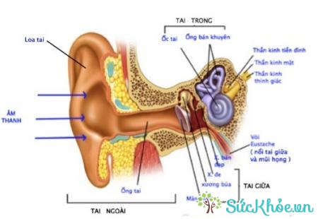 Cấy ghép ốc tai giúp người nghe kém cải thiện chất lượng nghe và giao tiếp