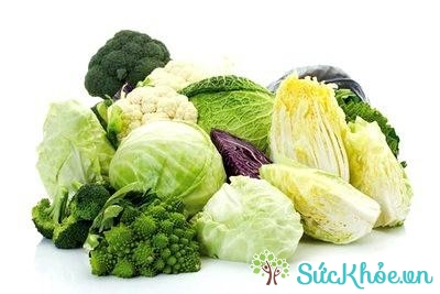 Rau xanh còn là thực phẩm chứa nhiều chất xơ, vitamin cần thiết cho cơ thể