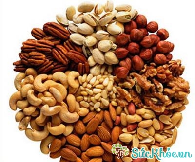 Các loại hạt là nguồn cung cấp protein và chất béo có lợi