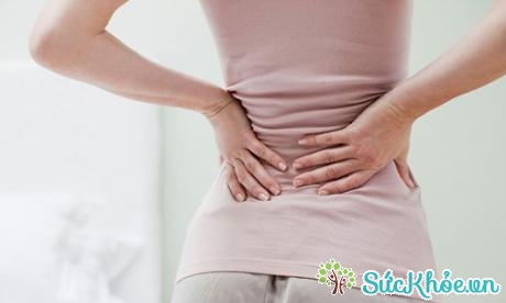 Đau lưng là một trong số những căn bệnh phổ biến nhất trong đời sống hàng ngày.