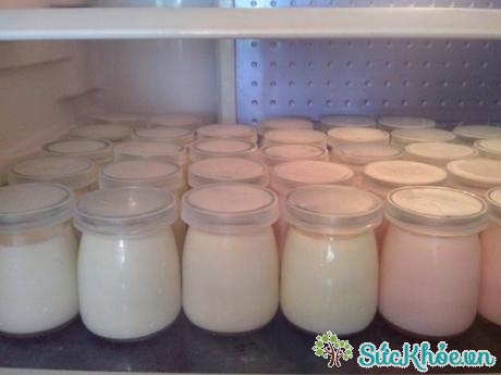 Bảo quản sữa chua trong tủ lạnh để giúp bảo quản nhiều chất dinh dưỡng 