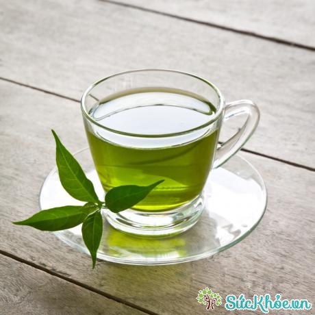 Uống một tách trà xanh mỗi ngày sẽ giúp bạn đốt cháy chất béo một cách nhanh chóng.