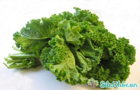 Các loại rau có lá màu xanh có thể giảm thiểu nguy cơ bị thoái hóa hoàng điểm người già.