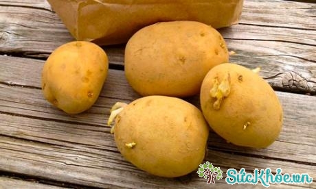 Để tránh khoai tây chuyển màu, bạn nên bảo quản chúng ở nơi khô ráo, thoáng mát
