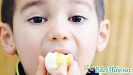 Dù là thực phẩm bổ dưỡng nhưng không nên cho trẻ ăn quá nhiều trứng