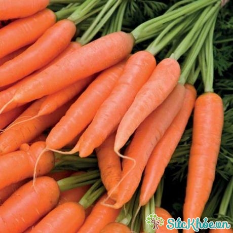 Mỗi bát cà rốt sống sẽ giúp cơ thể “nạp” khoảng 5% lượng axit folic cần thiết