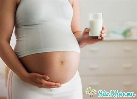 Sữa rất tốt cho cả thai phụ và thai nhi