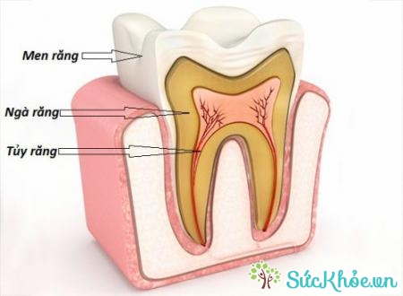Chữa tủy răng khi răng miệng không dược khỏe mạnh