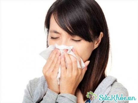 Viêm mũi dị ứng là bệnh thường gặp vào mùa xuân và mùa hè