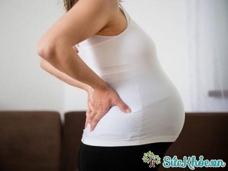 Hầu hết các bà bầu đều gặp tình trạng đau lưng trong thai kỳ