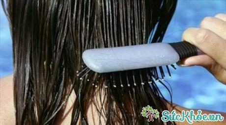 Chải đầu khi tóc ướt có thể gây chẻ ngọn hoặc đứt tóc