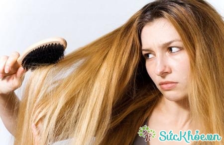 Tóc chẻ ngọn do không thường xuyên cắt tóc