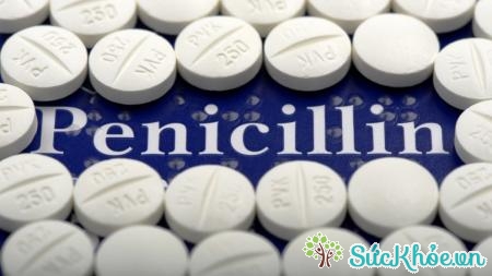 Thuốc penicillin điều trị các loại nhiễm trùng