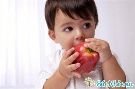 Lớp vỏ khô và ruột cứng của táo có thể khiến táo dễ dàng mắc kẹt trong miệng và khó đẩy xuống hết cổ họng bé.