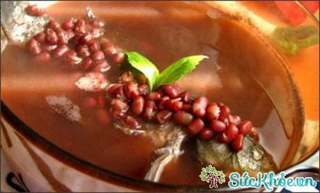 Canh cá chép đậu đỏ - món ăn có thể khắc phục được bệnh suy nhược cơ thể, tăng sức đề kháng