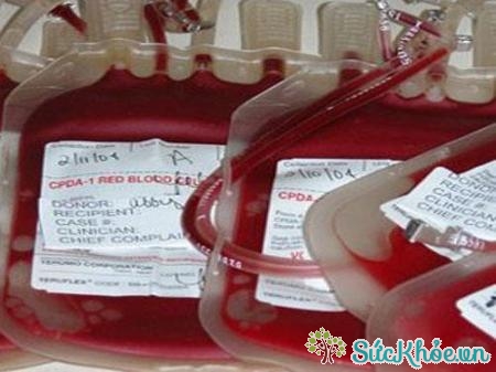 Chế phẩm máu bao gồm các sản phẩm điều chế từ máu người