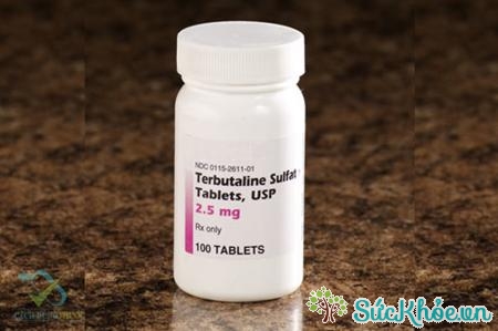 Terbutaline (thuốc tiêm)