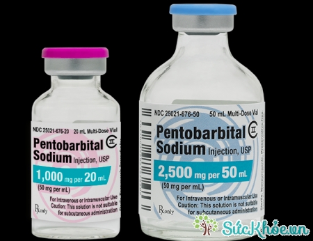 Pentobarbital (Thuốc uống và đặt hậu môn) và thông tin cần biết 
