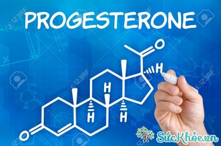 Progesterone ảnh hưởng lớn đến chu kỳ kinh nguyệt