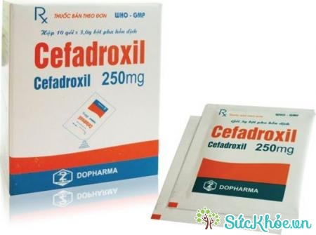 Cefadroxil 250mg (thuốc bột uống - công ty dược phẩm TW 2)