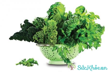 Folate có nhiều trong rau lá xanh, hỗ trợ sức khỏe thần kinh và miễn dịch