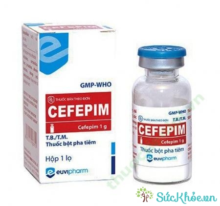 Thuốc tiêm Kfepime 1g