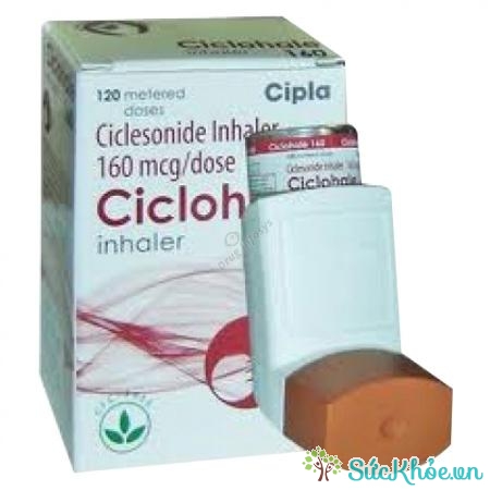 Ciclesonide (thuốc hít đường miệng) và một số thông tin thuốc cơ bản