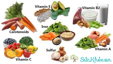 Vi chất dinh dưỡng có trong các loại thực phẩm hàng ngày
