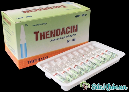 Thendacin (dung dịch tiêm)