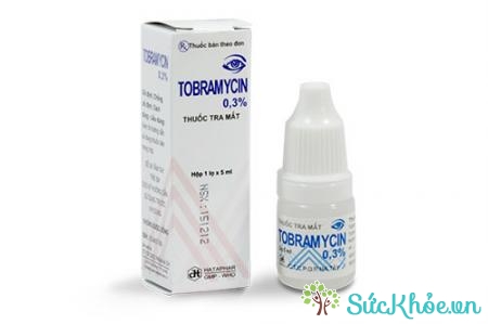 Tobramycin (Thuốc nhãn khoa) và một số thông tin thuốc cơ bản nên biết