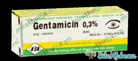 Gentamicin (thuốc nhỏ mắt, DP Hà Nội) và một số thông tin thuốc cơ bản